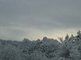 foto nevicata del 21 Febbraio 2005 9